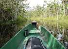 Audley in the Ecuadorian Amazon