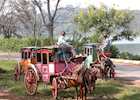 Stagecoaches, Pyin Oo Lwin