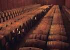 The Barrel Room at a Chilean Winery