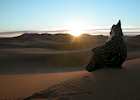 The Erg Chebbi, Morocco