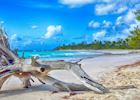 Beachfront in  The Bahamas