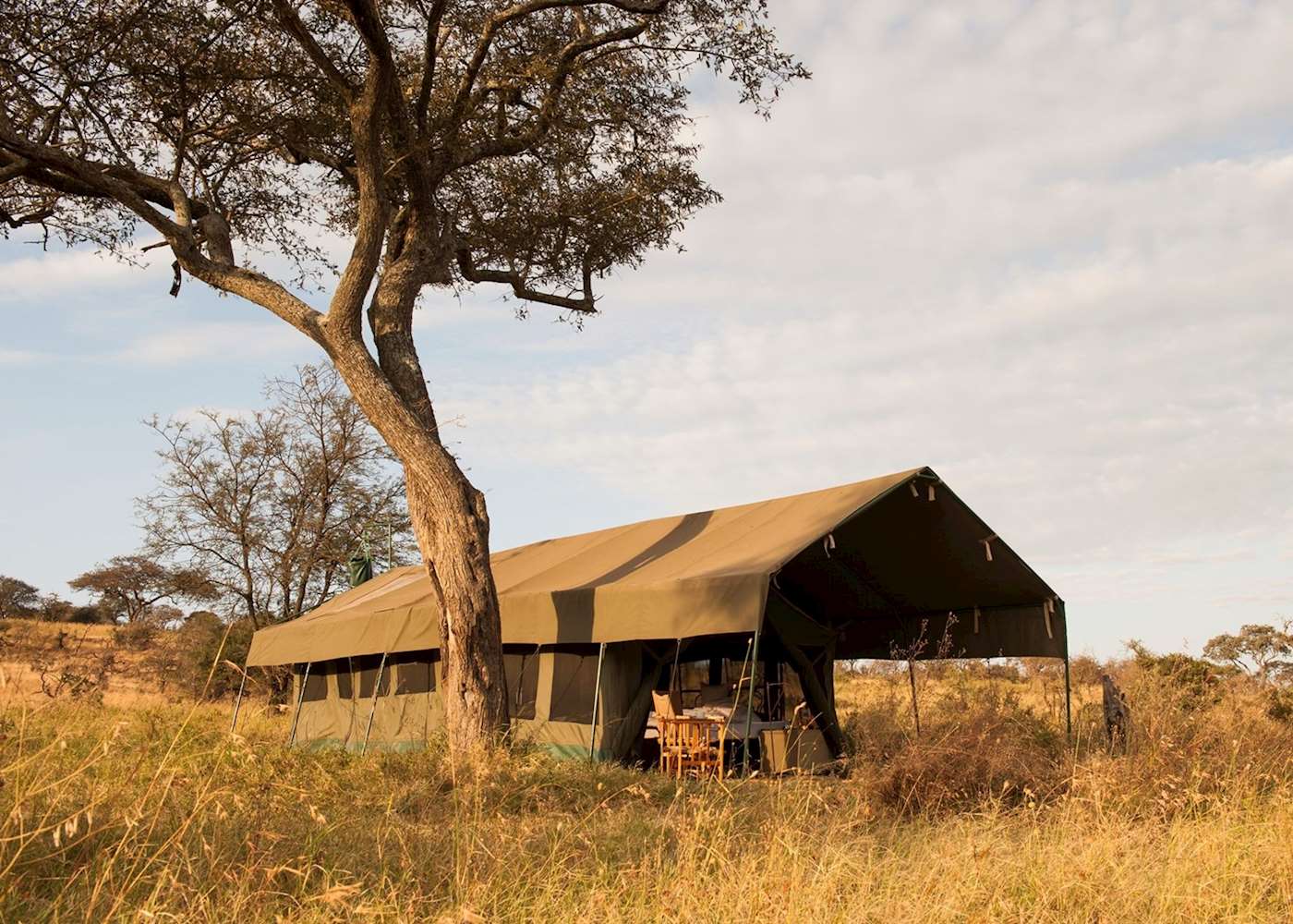 Nomad Serengeti Safari Camp 