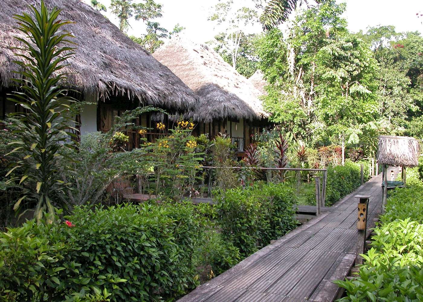Sacha Lodge Hotels in The Amazon Audley Travel