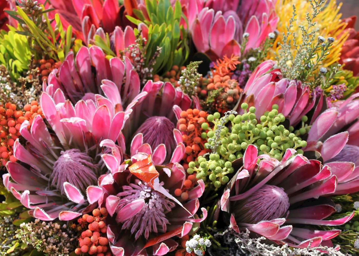 Visit Johannesburg, South Africa Tailormade Vacations Audley Travel US