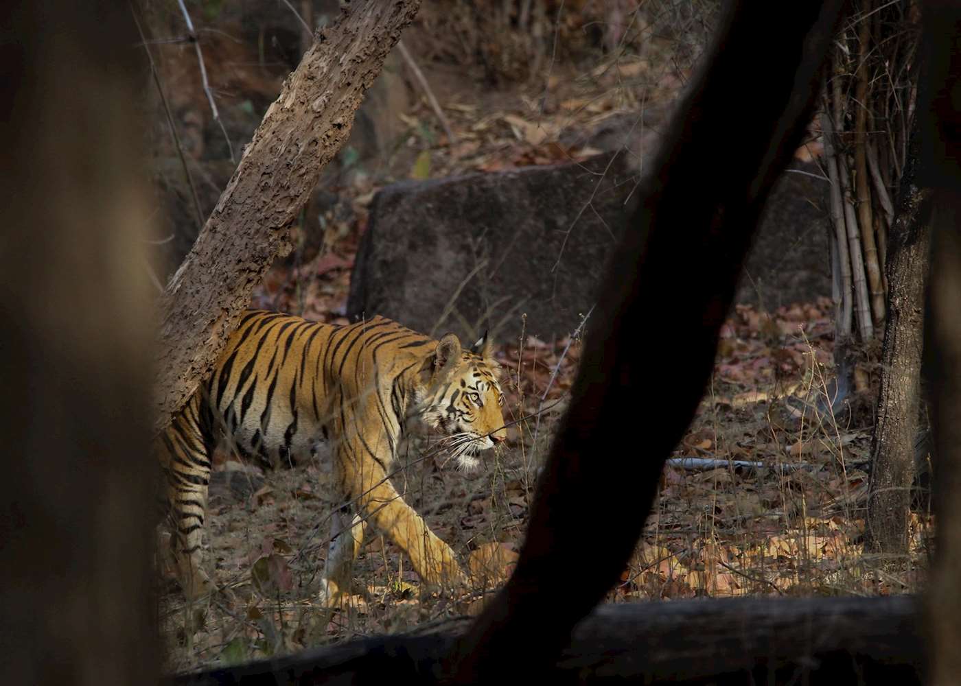 Airport Near Bandhavgarh National Park www.audleytravel.com