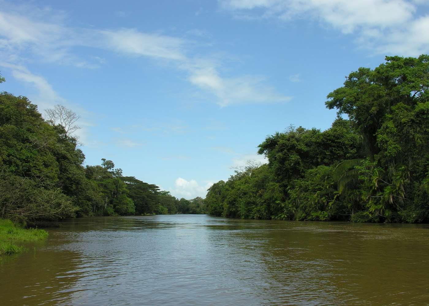 Caño Negro Wildlife Refuge, Costa Rica | Audley Travel