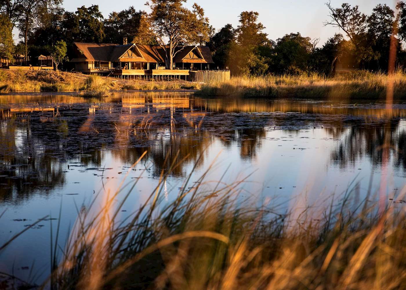 inground pool near wetlands