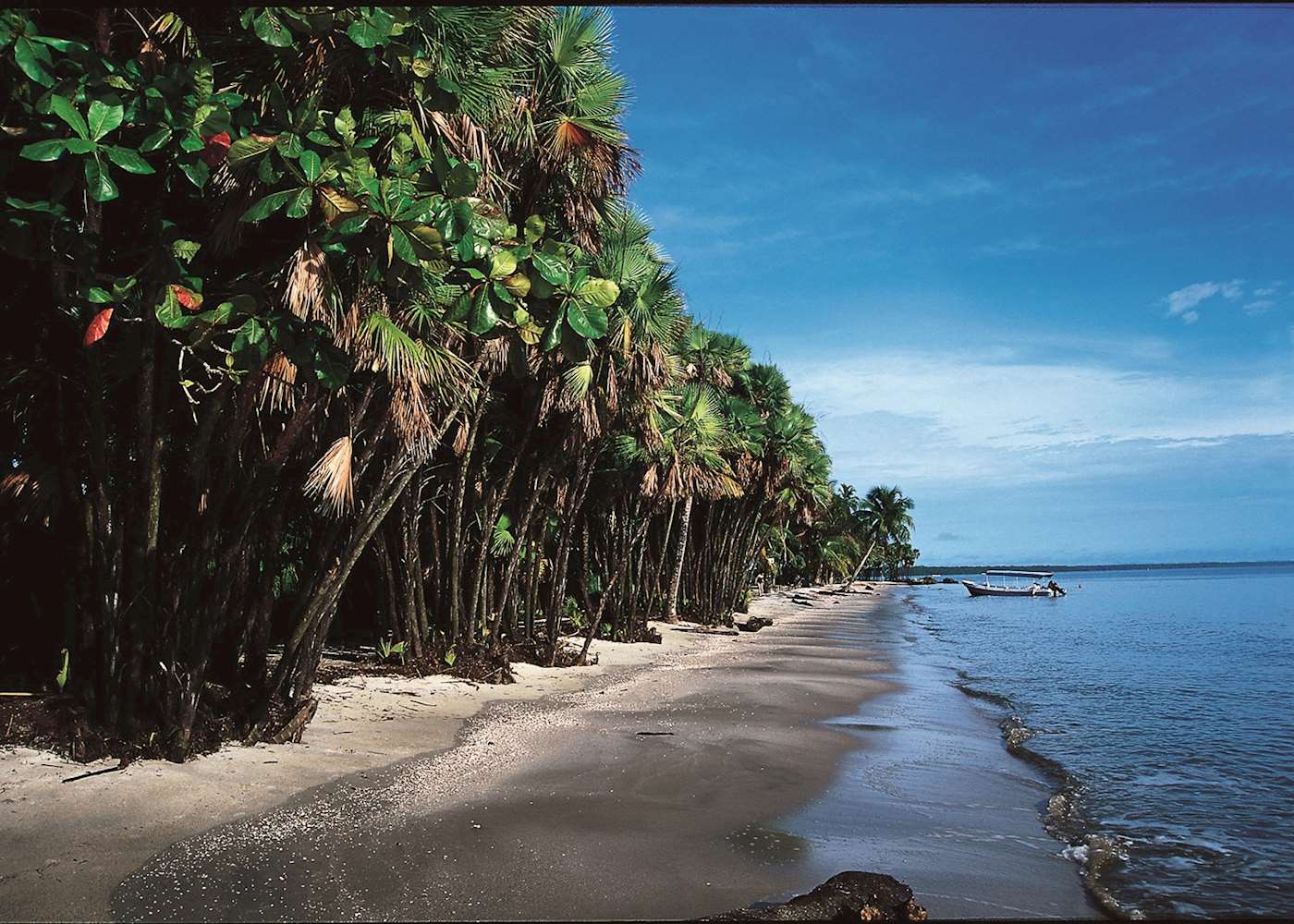 tour rio dulce livingston