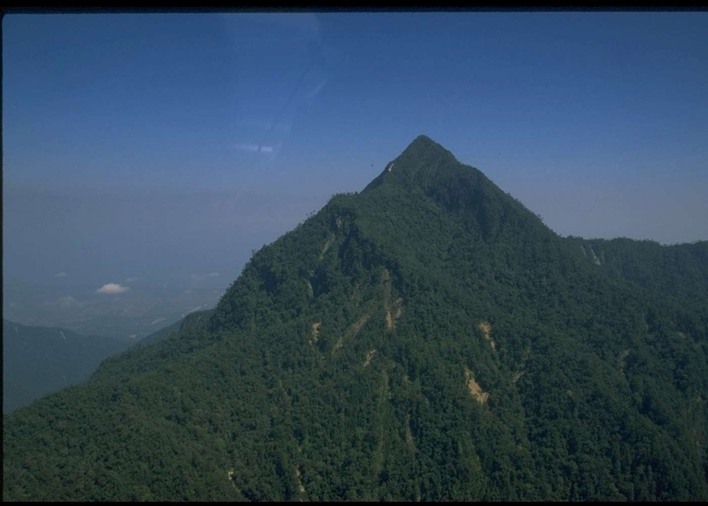 Visit Pico Bonito on a trip to Honduras | Audley Travel UK
