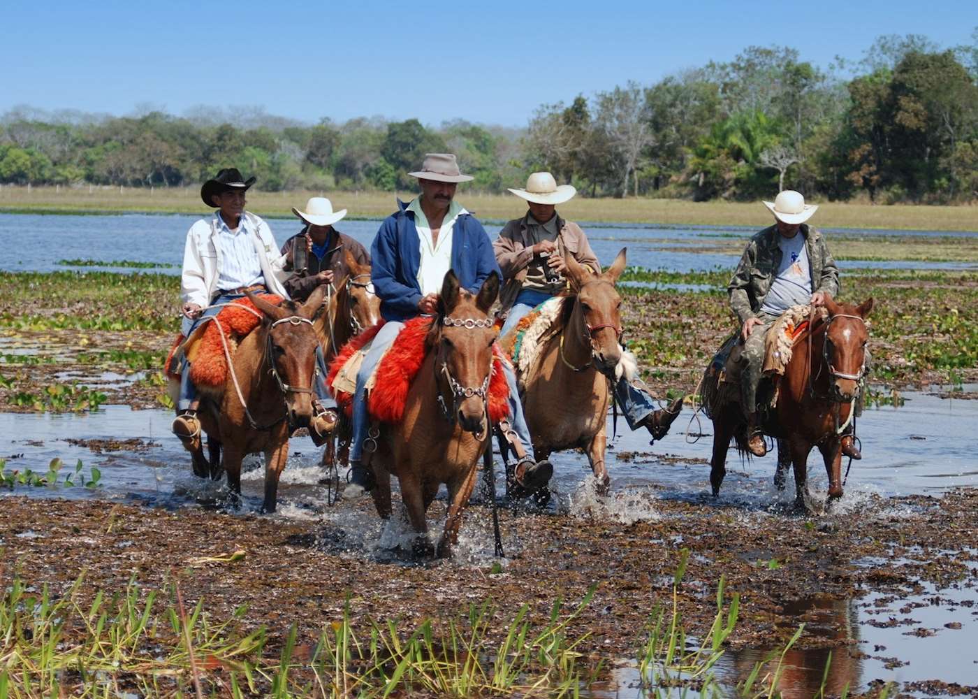 Fazenda Barranco Alto | The Pantanal | Audley Travel