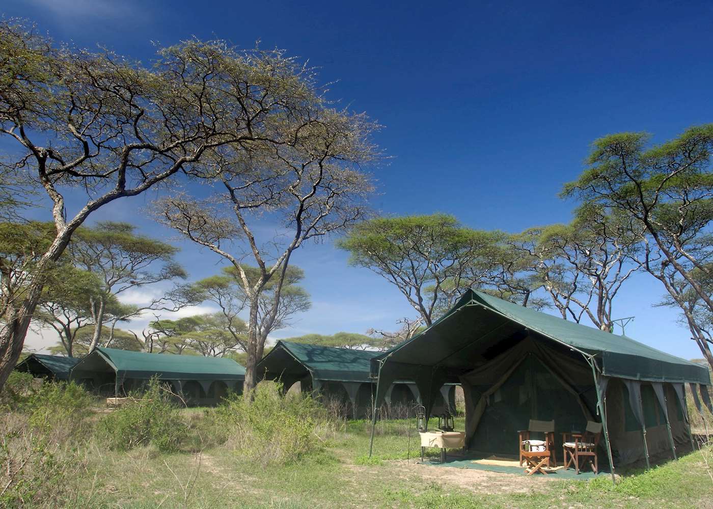 Kirurumu Tarangire Camp | Audley Travel UK