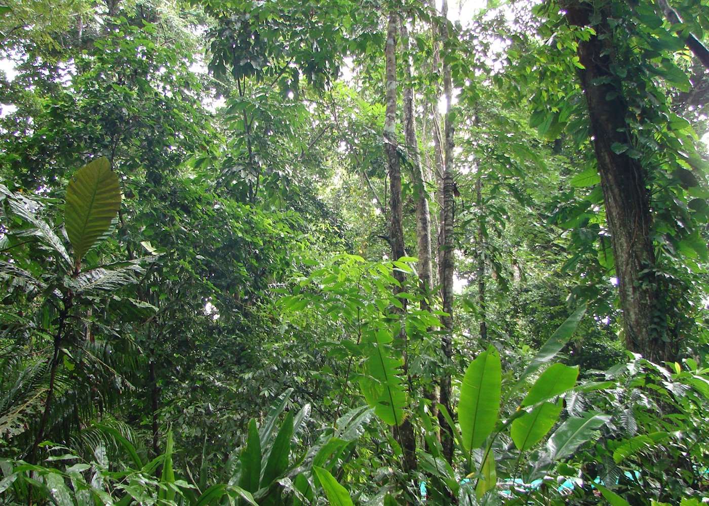 Visit Manzanillo on a trip to Costa Rica Audley Travel UK