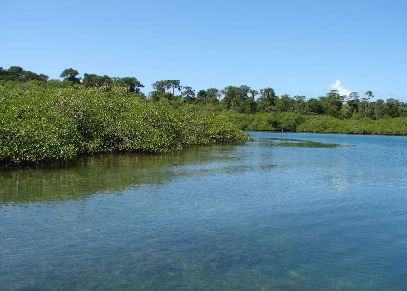 Visit Tranquilo Bay on a trip to Panama | Audley Travel UK