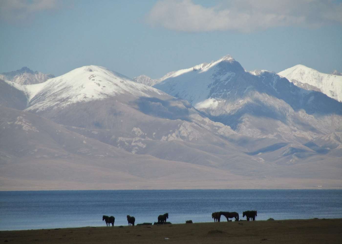 Visit Song-Kul on a trip to Kyrgyzstan | Audley Travel