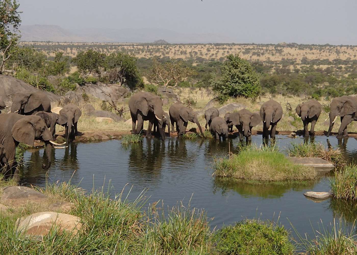 Visit Serengeti National Park, Tanzania | Audley Travel