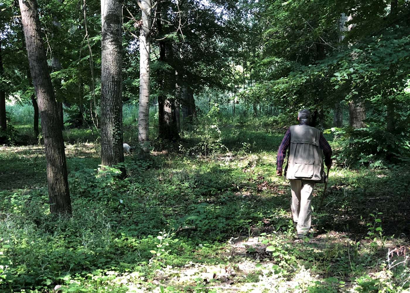 Truffle hunting and tasting lunch Audley Travel US