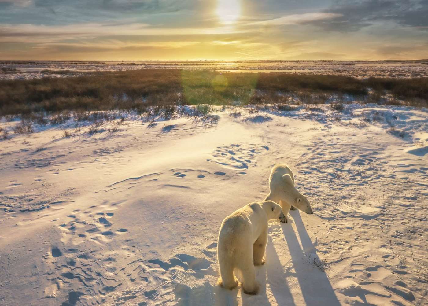 best time to visit churchill manitoba