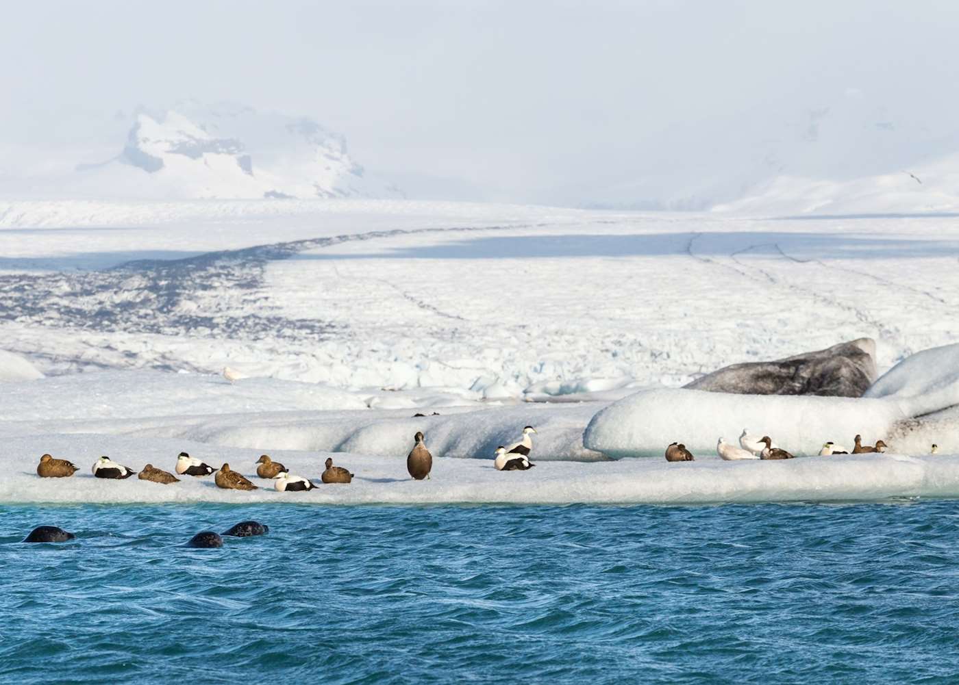 Visit Jökulsárlón, Iceland | Tailor-Made Trips | Audley Travel US