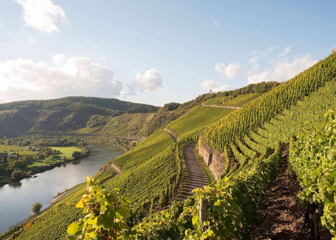 Долина Мозель в Германии виноградники