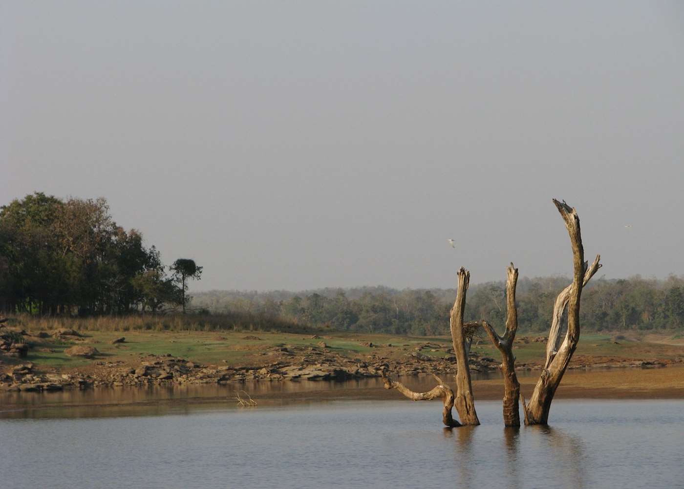 Visit Satpura National Park on a trip to India | Audley Travel US