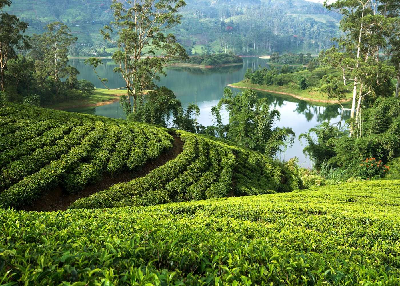 Visit Hatton on a trip to Sri Lanka Audley Travel UK