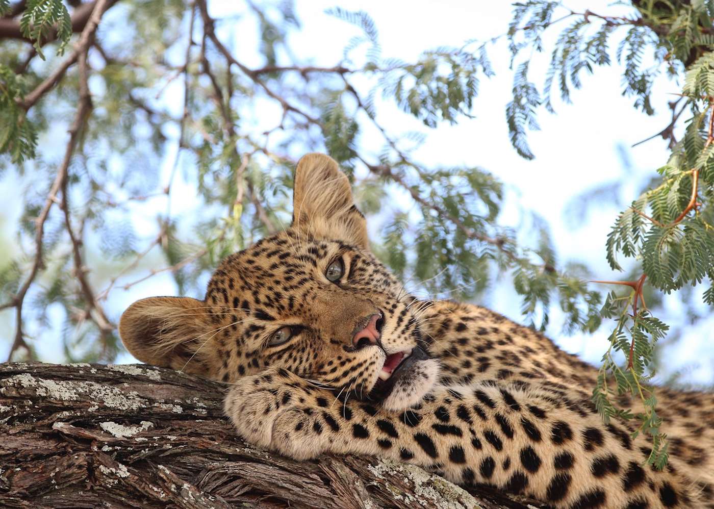 Botswana Itinerary Ideas | Audley Travel UK