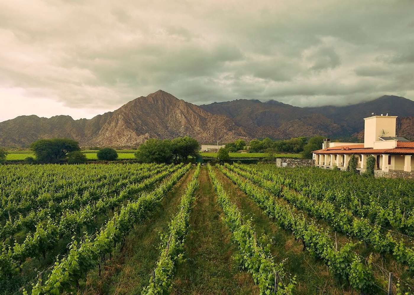 Viñas de Cafayate Wine Resort | Audley Travel