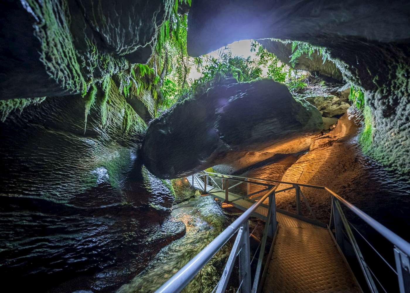 Te Anau Glowworm Caves | Audley Travel UK