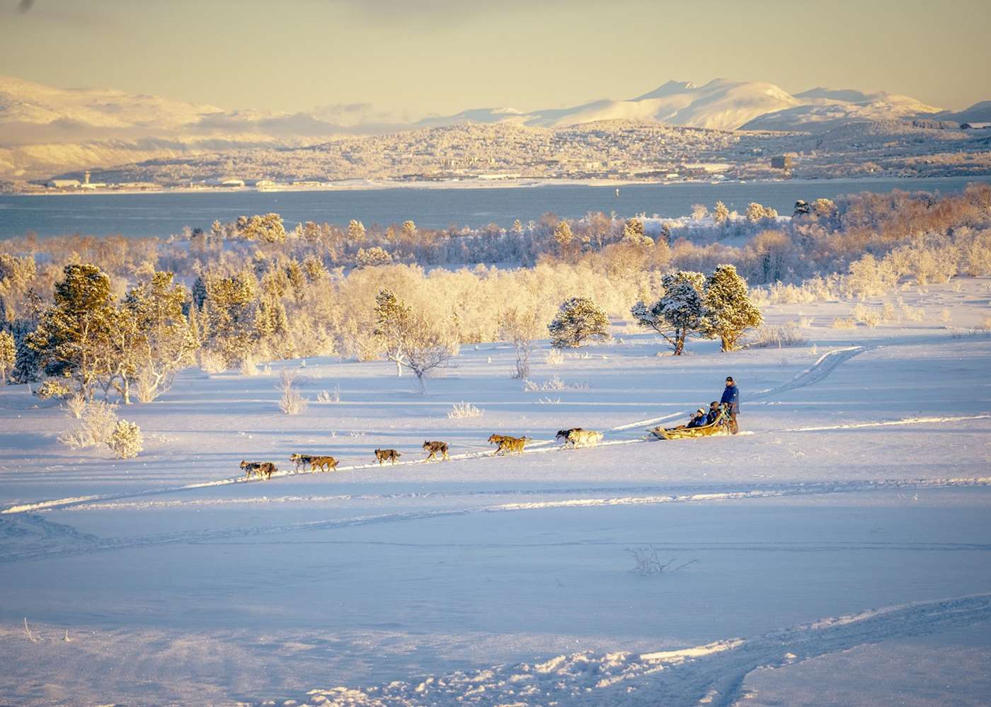 Husky sledding | Audley Travel US