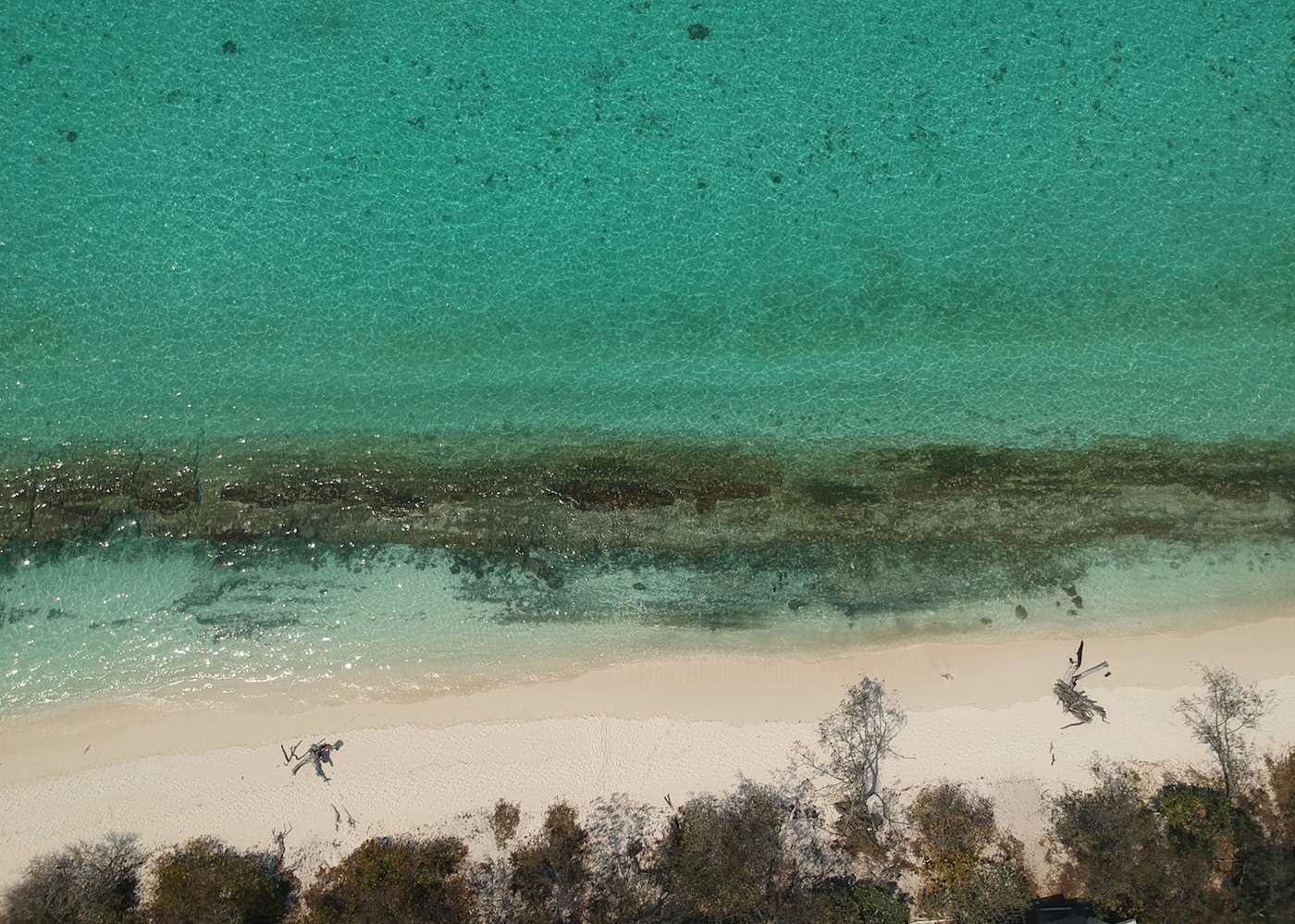 Visit Heron Island on a trip to Australia Audley Travel UK