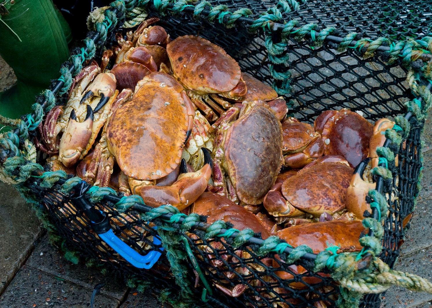 Tailor-Made Vacations to Oban | Audley Travel US