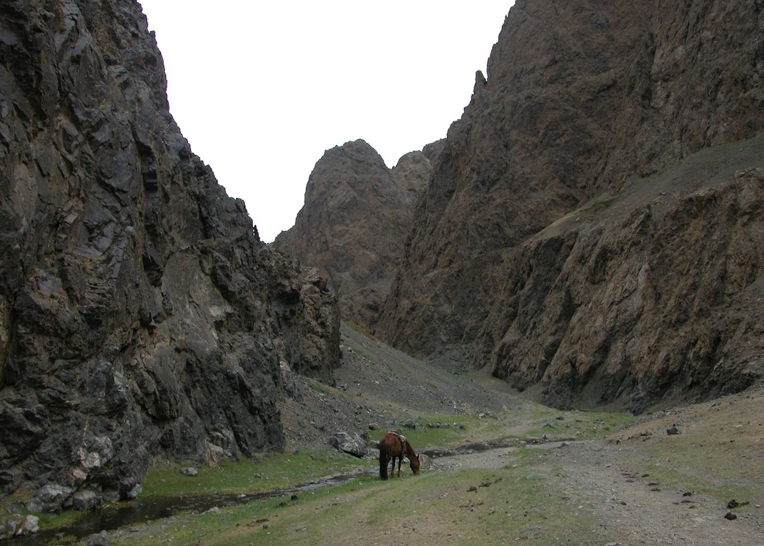 Visit The Gobi Desert On A Trip To Mongolia | Audley Travel