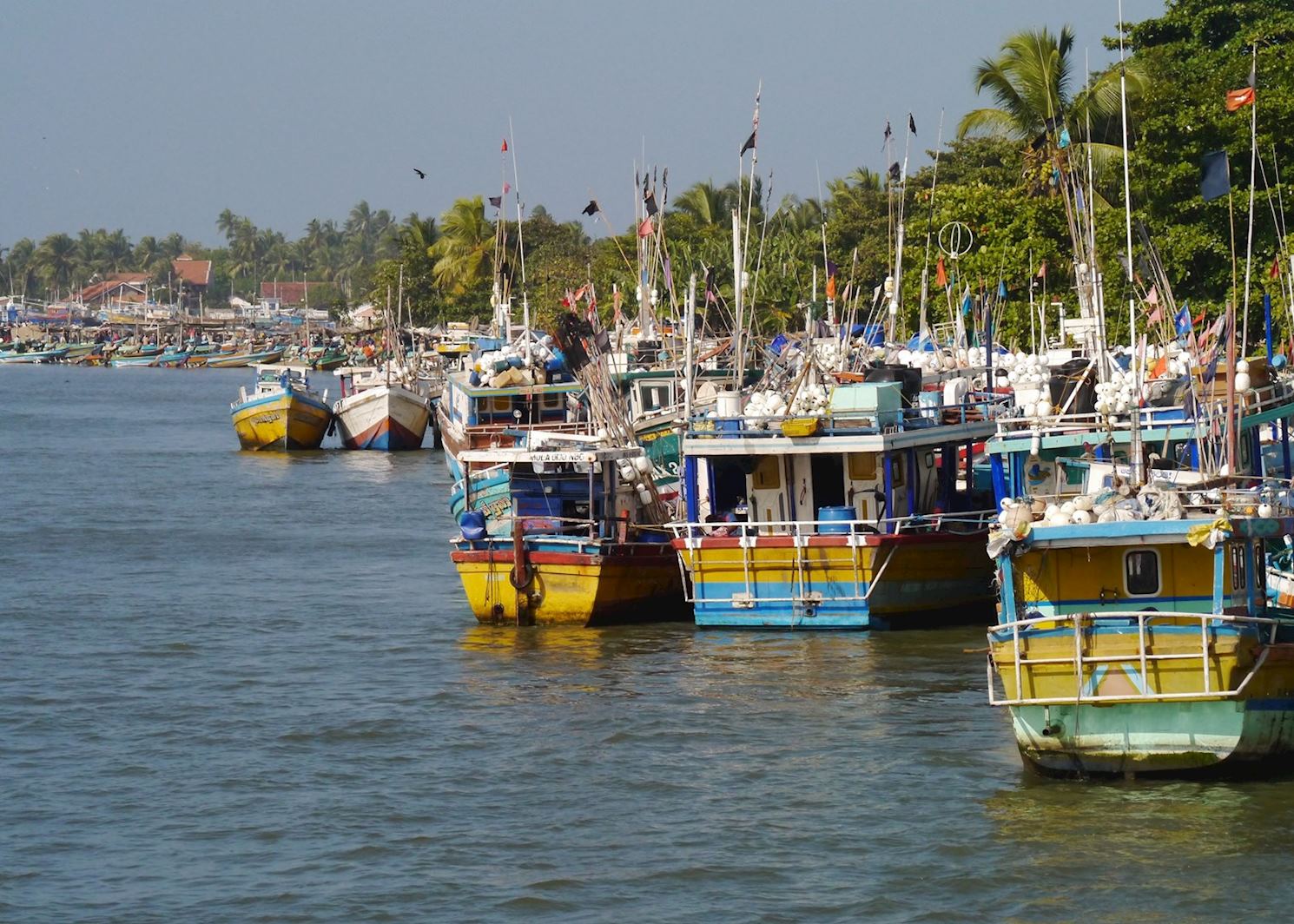 Visit Negombo on a trip to Sri Lanka | Audley Travel UK