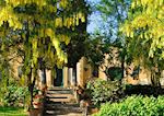 Il Falconiere, Cortona