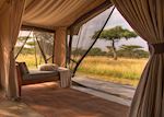 Guest tent,Asilia Naboisho Camp,Masai Mara