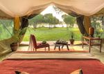 Tent at Kicheche Laikipia