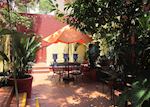 The Red Tree House, Mexico City