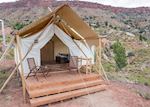 Suite Tent