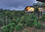 O'Reilly's Rainforest Guesthouse, Lamington National Park