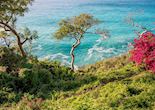 Guana Island, Guana Island