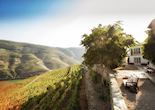 Quinta Nova, Covas do Douro
