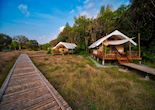 Cardamom tented camp, Koh Kong area