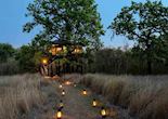 Pench Tree Lodge