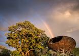 Nest room exterior, Chisa Busanga Camp