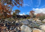 Buckeye Tree Lodge & Cabins