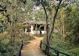 Flame of the Forest, Kanha