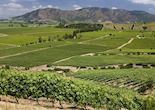 Colchagua wine region, Chile