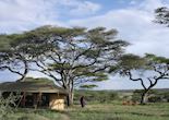 Lemala Serengeti Camp