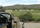 Game drive at Hobatere
