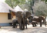 Nsefu Camp, South Luangwa National Park
